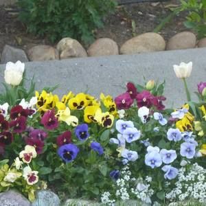 Meet your Posher, Jan